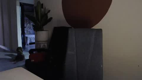 STEPHAN  online show from 12.17.25