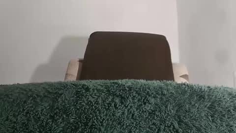 Snapshot of alotofcream chatting on 11.08.25 alotofcream4u online show from 11.08.25