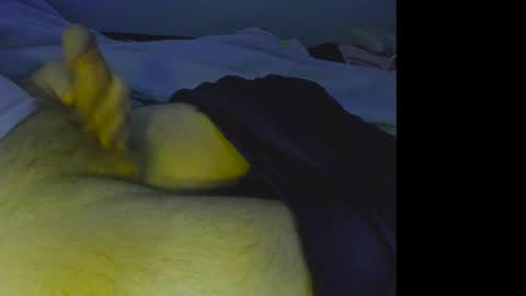 alphablue_wolf1295 online show from 12.04.24