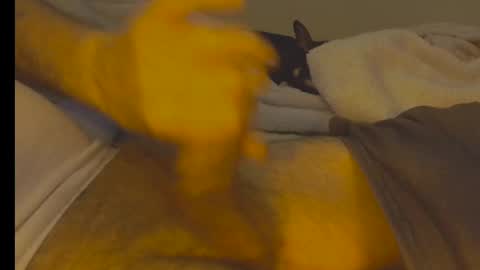 alphablue_wolf1295 online show from 01.02.25