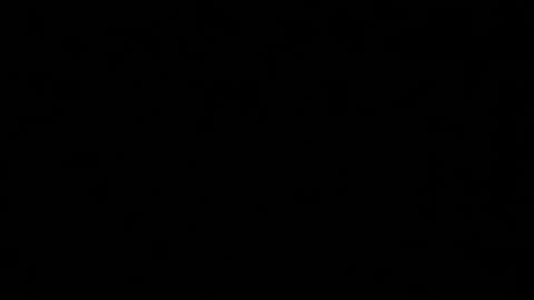 Snapshot of alphakittyxxx chatting on 01.29.25 Shelby or if you want to make me purr just call me Kitten online show from 01.29.25