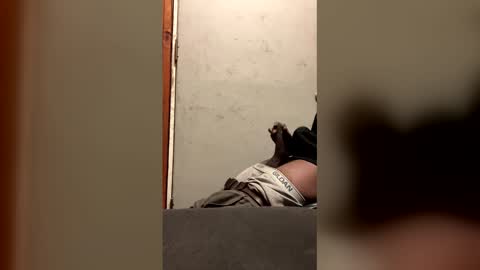 Snapshot of alwayshorny240177 chatting on 02.13.26 alwayshorny240177 online show from 02.13.26