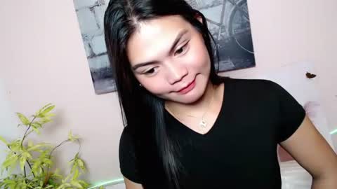 AMARAA online show from 01.05.26