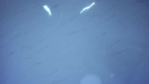 Emily online show from 01.31.26