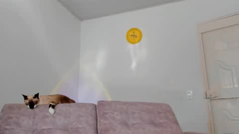 Tammy online show from 02.15.25