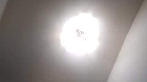 Petruss s Csabesztoo online show from 01.17.25