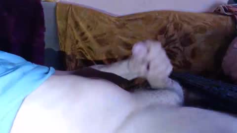 amazingcuteboy845 online show from 04.15.26