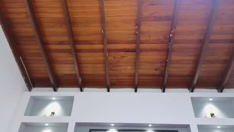 Ambar  online show from 03.30.26