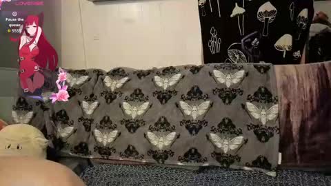 amburlicious online show from 11.02.25