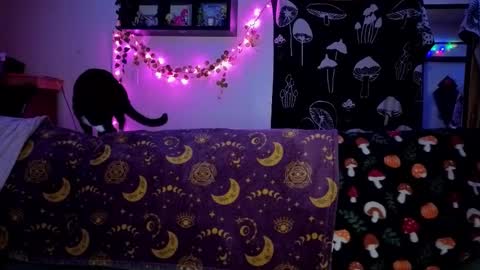 amburlicious online show from 02.22.26