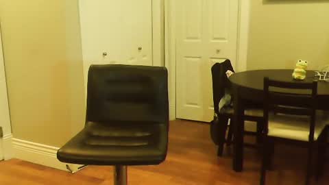 Snapshot of amera_gray chatting on 01.12.25 HOT white naughty leo xxx online show from 01.12.25