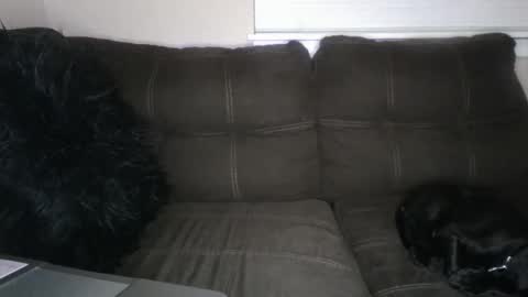 amiri_sweater online show from 03.02.25