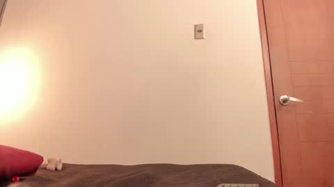 ammytorrez_ online show from 09.11.25