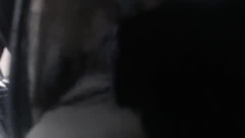 miss unforgettable online show from 03.24.26