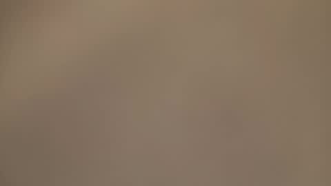 AmorLin online show from 03.30.26