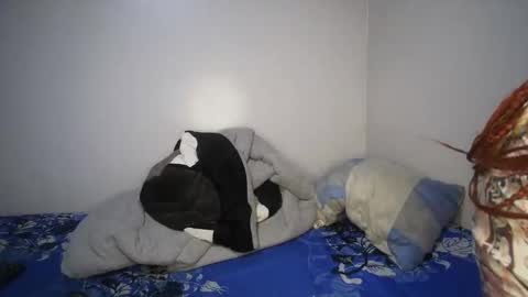 shantel online show from 11.14.25