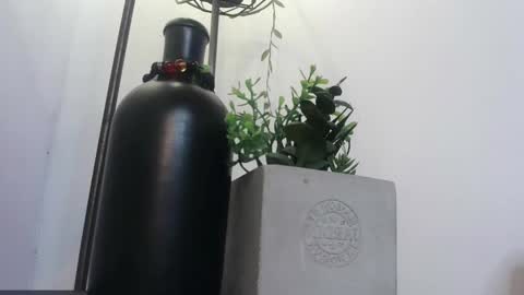 Snapshot of amy_swan09 chatting on 02.04.25 Amy online show from 02.04.25