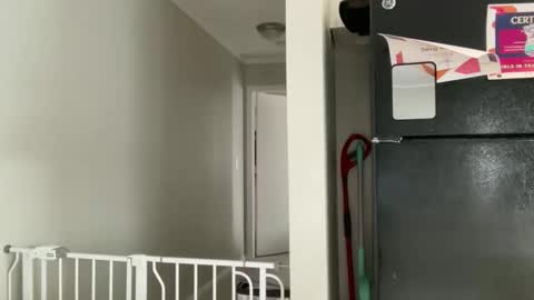 Snapshot of amysmilez chatting on 12.17.25 Amy Smilez online show from 12.17.25