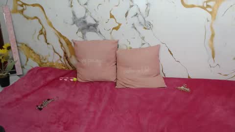 Snapshot of analiz_ chatting on 02.05.26 analiz_ online show from 02.05.26