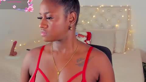 A N A  my connection hours are from 600 pm to 12 pm Colombian time online show from 12.14.24