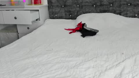  ANASTASIA DANGER  online show from 01.01.25