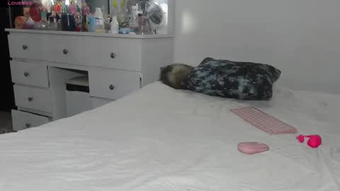  ANASTASIA DANGER  online show from 03.11.26