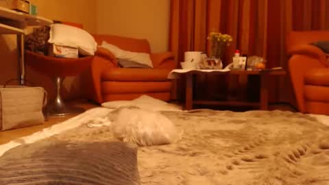 Andra online show from 06.01.26