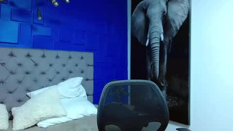 Andre Parker online show from 03.01.25