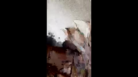 andresvm4796 online show from 04.25.26