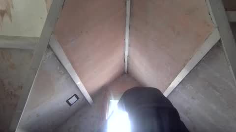 Andrew online show from 04.01.26