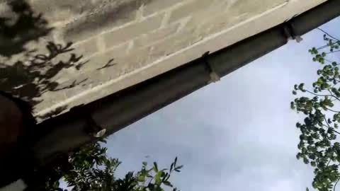 andrew online show from 09.14.25