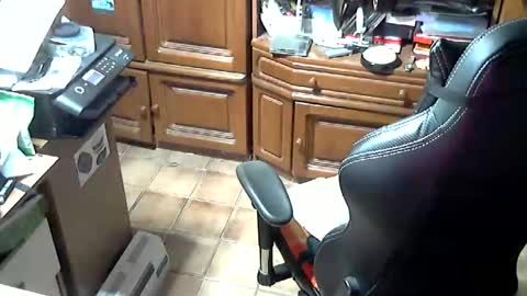 Snapshot of androgynia1 chatting on 10.17.25 androgynia online show from 10.17.25