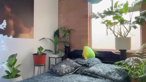 Snapshot of andy_belier chatting on 02.05.26 Andy online show from 02.05.26