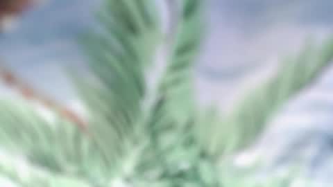 andy_dan1 online show from 05.18.26
