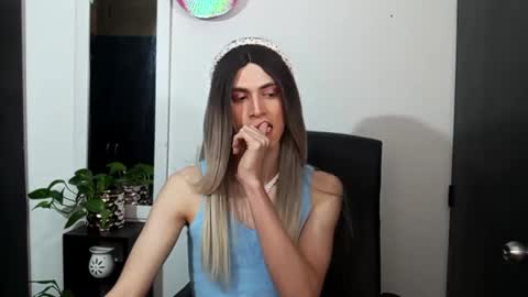 Andy van der Rose online show from 11.30.25