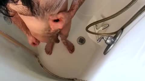 andybadass online show from 02.09.25