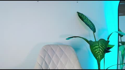 andy palmer online show from 11.06.25