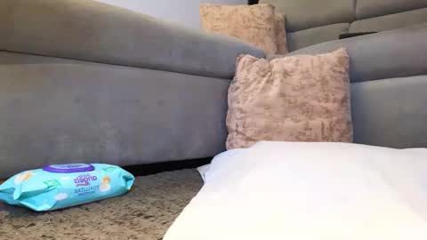 Anell online show from 11.24.25