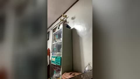 ange011 online show from 03.23.26