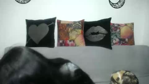 Snapshot of angela_mis chatting on 03.07.25 Angela online show from 03.07.25