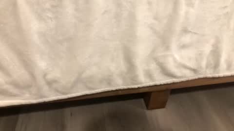 Mira13 online show from 02.14.26