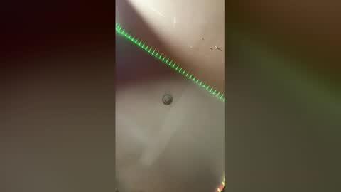 Angelikka Freakd out Pikkels online show from 02.16.26