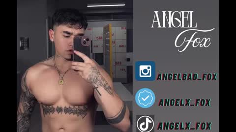 Angel Fox online show from 11.08.25