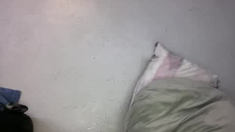 Animeboygirls online show from 11.06.25