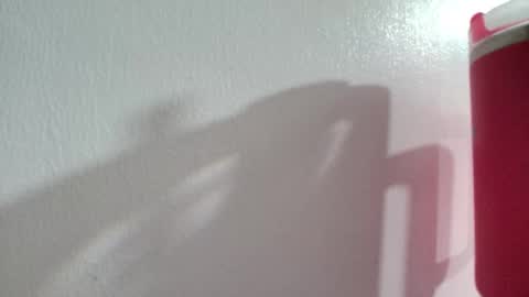 ana independent model online show from 03.21.26