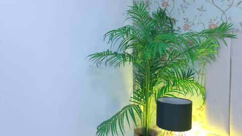 Dania Lpez online show from 03.19.26