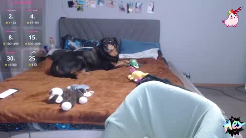 Anadirectgirl online show from 02.25.25