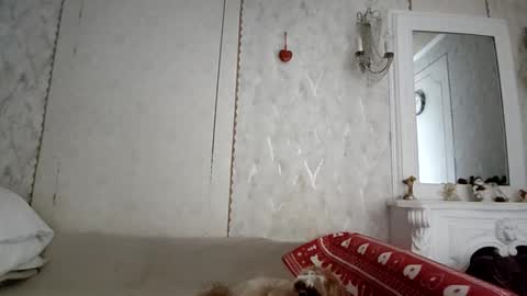 Anna online show from 12.04.25