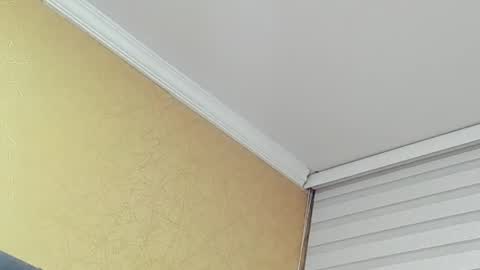       online show from 03.31.26