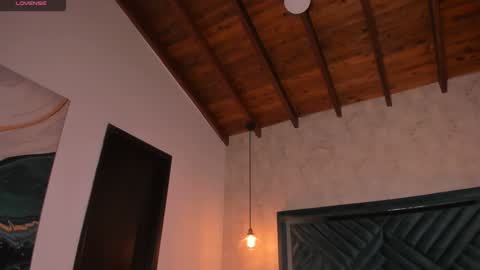 Snapshot of anne_mallow chatting on 01.10.25 Ann online show from 01.10.25